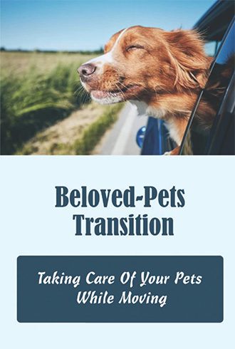 Beloved Pets Transition