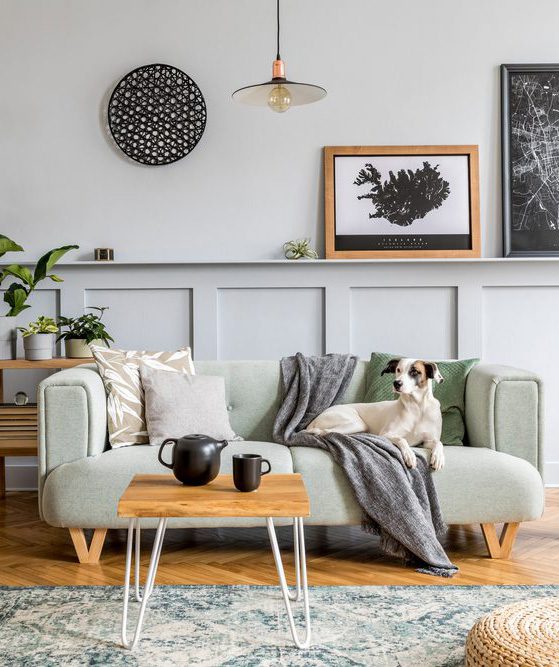 shutterstock 1723139395 1